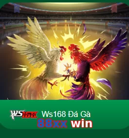 88xx win